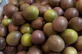 Attēlu rezultāti vaicājumam “Libanotis montana fruit”