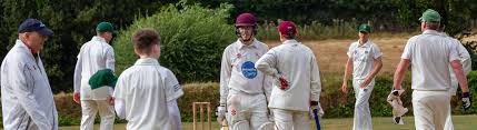 Image result for Chulmleigh & Mid Devon Cricket Club