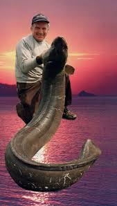 Image result for British Conger Club