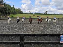 Image result for Liverpool Equestrian Club