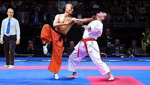 Image result for kung fu