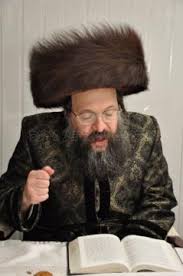 Attēlu rezultāti vaicājumam “Rabdophaga degeeri”