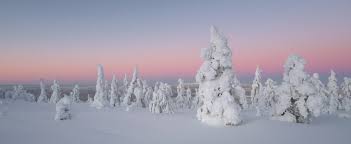 Image result for Laplandit-(Ce)