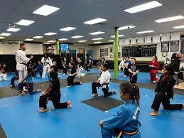 Image result for IXL Martial Arts