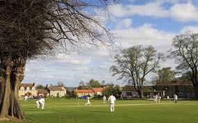 Image result for Wilden Village Cricket Club