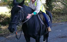 Image result for Bookham Riding School