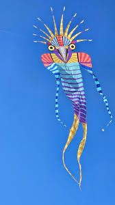 Image result for Kite Club of Scotland