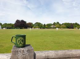 Image result for Nazeing Common Cricket Club