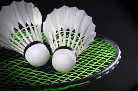 Image result for Ashbourne Badminton Club