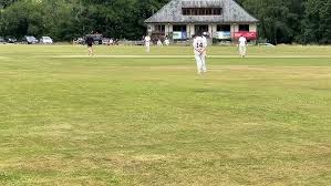 Image result for Lewdown Cricket Club