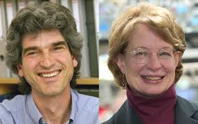 UMass Medical School scientists Jeremy Luban, MD, and Trudy Morrison, PhD, have been elected fellows of the American Academy of Microbiology for their ... - luban-morrison