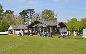 Image result for Halstead Colts Cricket Club