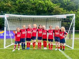 Image result for Hassocks Ladies FC