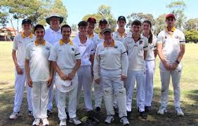 Image result for Vale Cricket Club