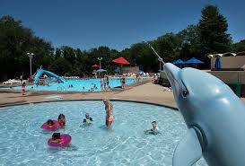 Image result for Grimsby Alexander Dolphins Swimming Club