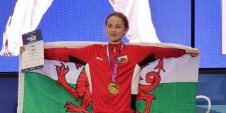 Image result for Llantrisant Tkd