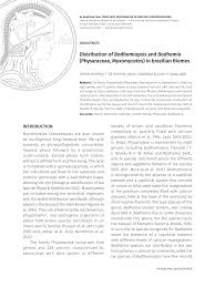 Attēlu rezultāti vaicājumam “Badhamiopsis scripta spores”