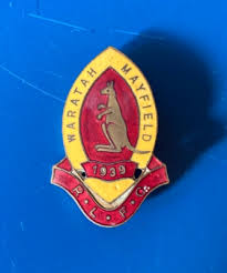 Image result for Mayfield Rugby League Football Club