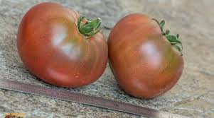 Afbeeldingsresultaat voor crnkovic yugoslavian tomato