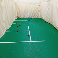 Image result for Ilford Cricket Club