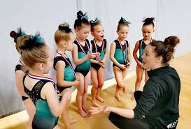 Image result for Wiltshire School Of Gym