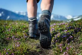 Image result for Nottingham and Derby Walking Group