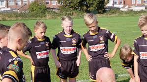 Image result for Skirlaugh Amateur Rugby League Football Club