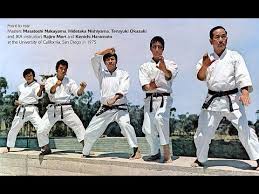 Image result for Shotokan Karate