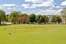 Image result for Hills Plymouth Cricket Club