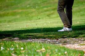 Image result for Stinchcombe Hill Golf Club