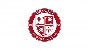 Image result for Woking Korfball Club