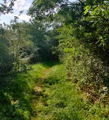 Image result for Springhead Park Bowling Club