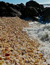 Image result for mountain top seashell