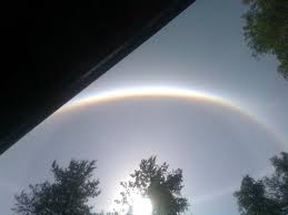 Kuvahaun tulos haulle haloilmi