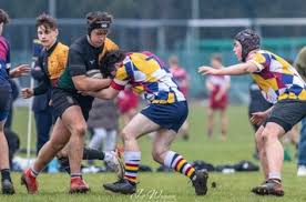 Image result for Oxford Harlequins R F C
