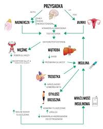 Image result for przyk adnica