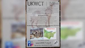 Image result for Weston Rhyn Wolves