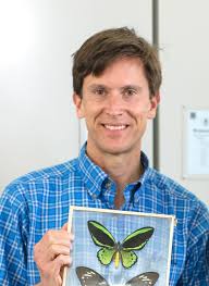 Attēlu rezultāti vaicājumam “Cribraria aurantiaca young”