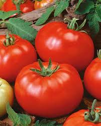 Afbeeldingsresultaat voor brandywine sudduth tomato