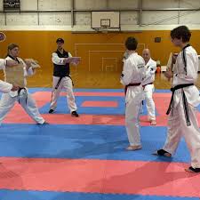 Image result for Bytomic Tae Kwon Do Beaconsfield