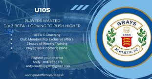 Image result for Rayleigh boys under 7's Leopards- need a Goalie!