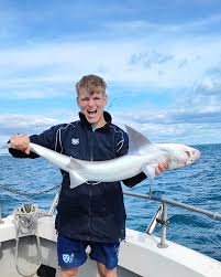 Image result for Chichester Sharks