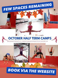 Image result for Rowan Gymnastics Club