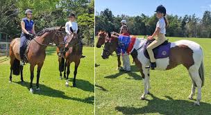 Image result for Lakes Riding Club