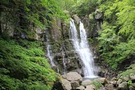 Image result for cascate del dardagna