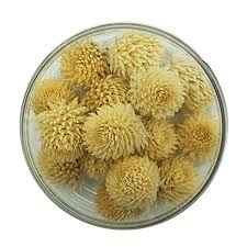 Image result for Kugelamarant