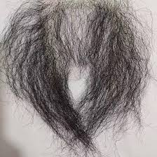 Image result for schamhaar