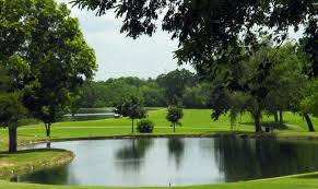 Image result for Thorn Park L T C