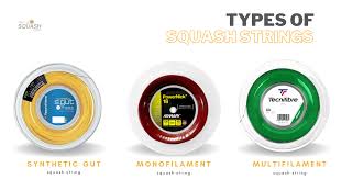 Image result for Strings Squash & Fitness Squash Club