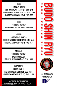 Image result for Budo Shin Ryu Kempo Jujitsu Academy